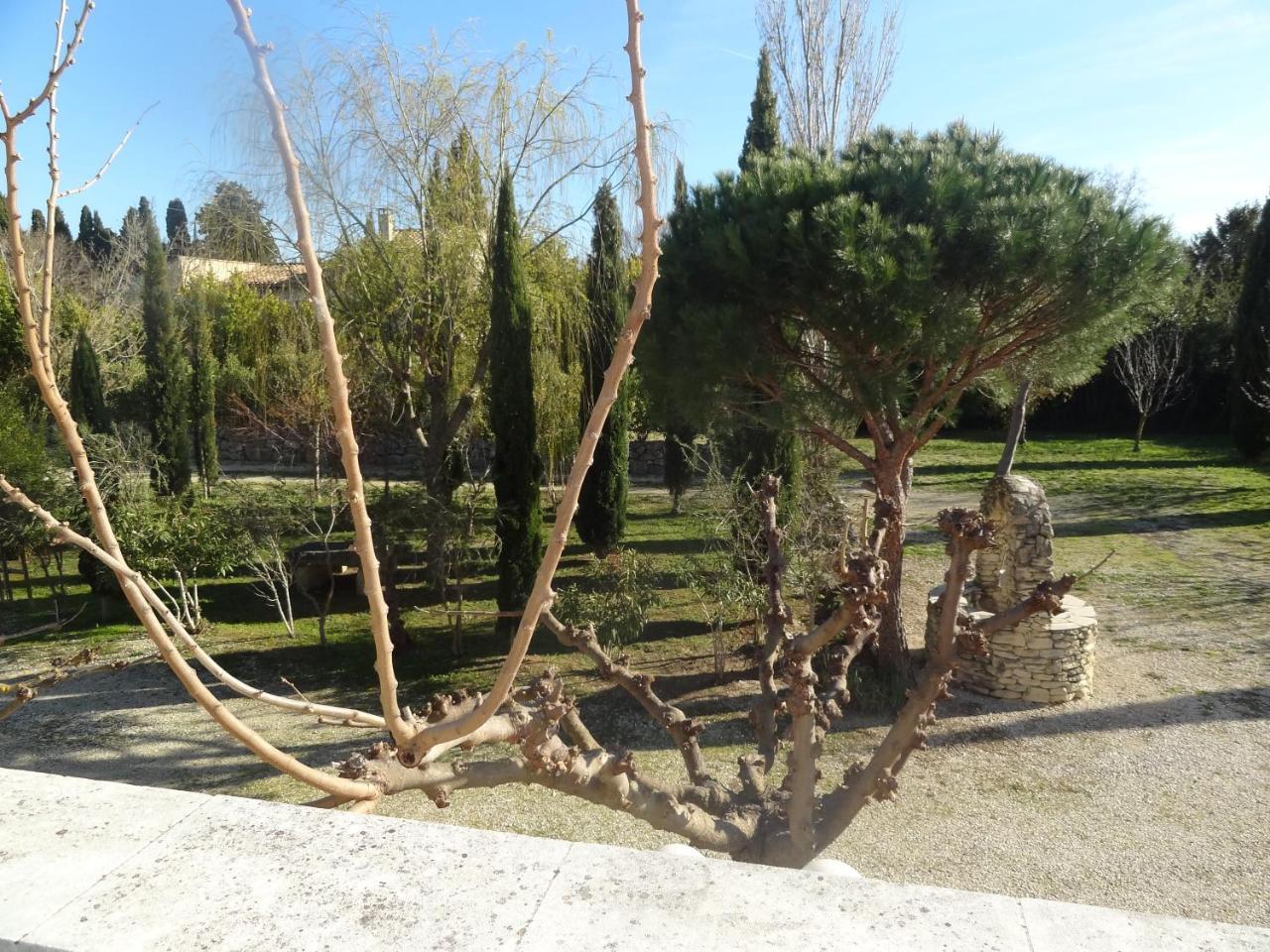 Ferienwohnung Locations Des Alpilles Saint-Rémy-de-Provence Exterior foto